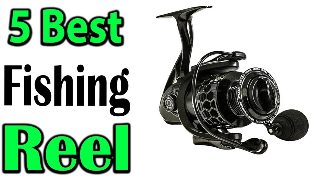 TOP 5 Best Fishing Reel Review 2024



TOP 5 Best Fishing Reel Review 2024